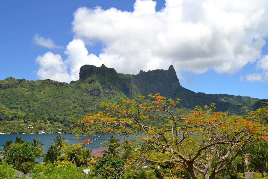 Te Fare Hinahei Apartment Moorea Exterior foto